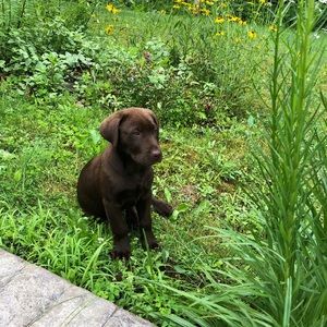 Meet your Posher, Tia